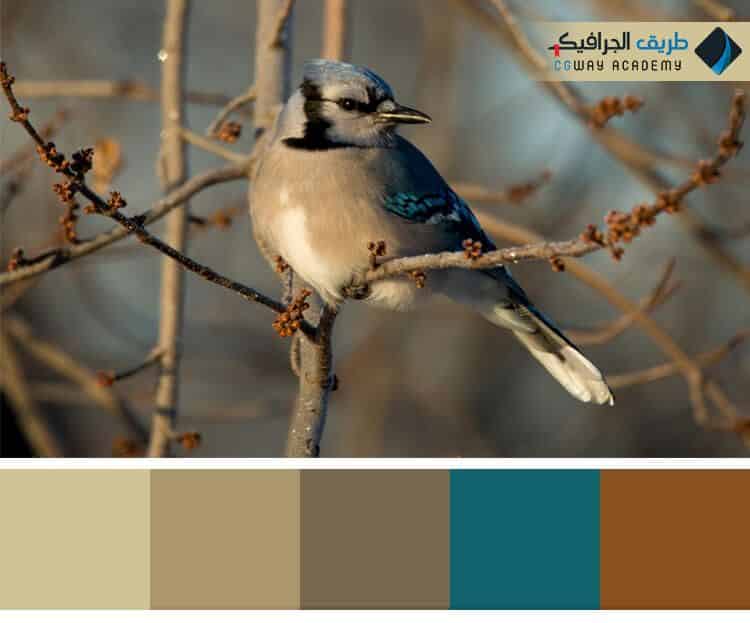 فن اختيار الألوان في الديكور الداخلي – Colors in interior decoration وكيف تؤثر اختيار الألوان علي ألوان ديكور المنزل على الإنسان