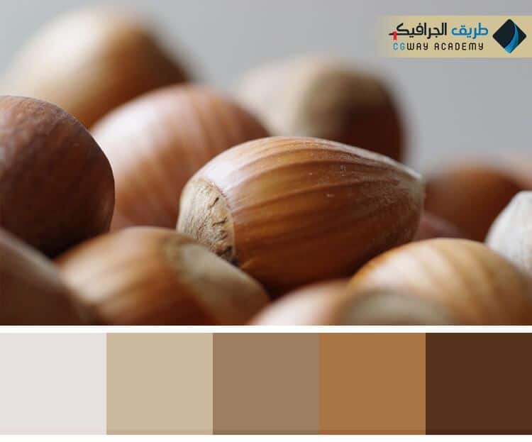 فن اختيار الألوان في الديكور الداخلي – Colors in interior decoration وكيف تؤثر اختيار الألوان علي ألوان ديكور المنزل على الإنسان