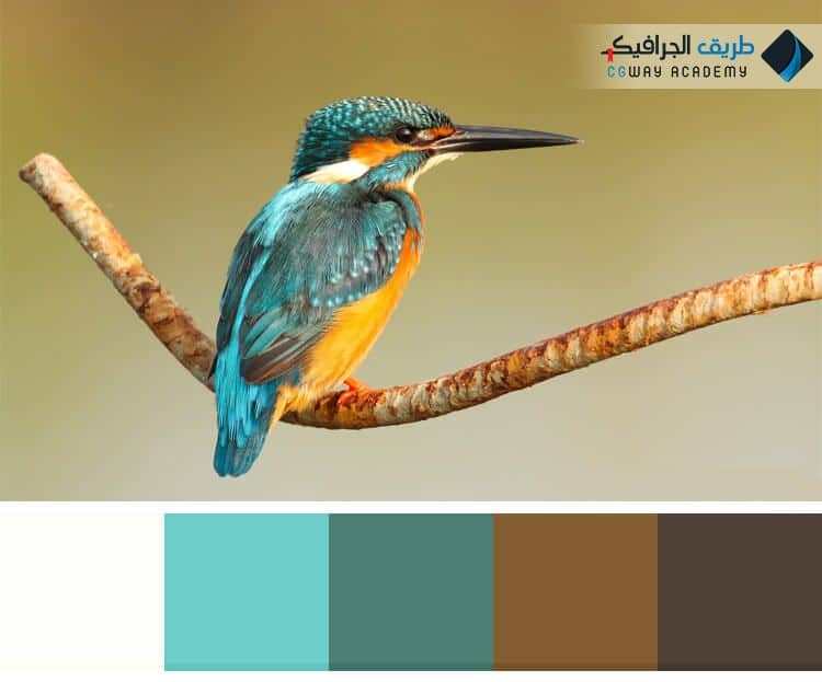 فن اختيار الألوان في الديكور الداخلي – Colors in interior decoration وكيف تؤثر اختيار الألوان علي ألوان ديكور المنزل على الإنسان