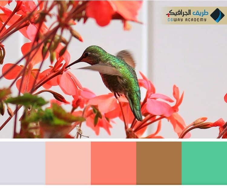 فن اختيار الألوان في الديكور الداخلي – Colors in interior decoration وكيف تؤثر اختيار الألوان علي ألوان ديكور المنزل على الإنسان